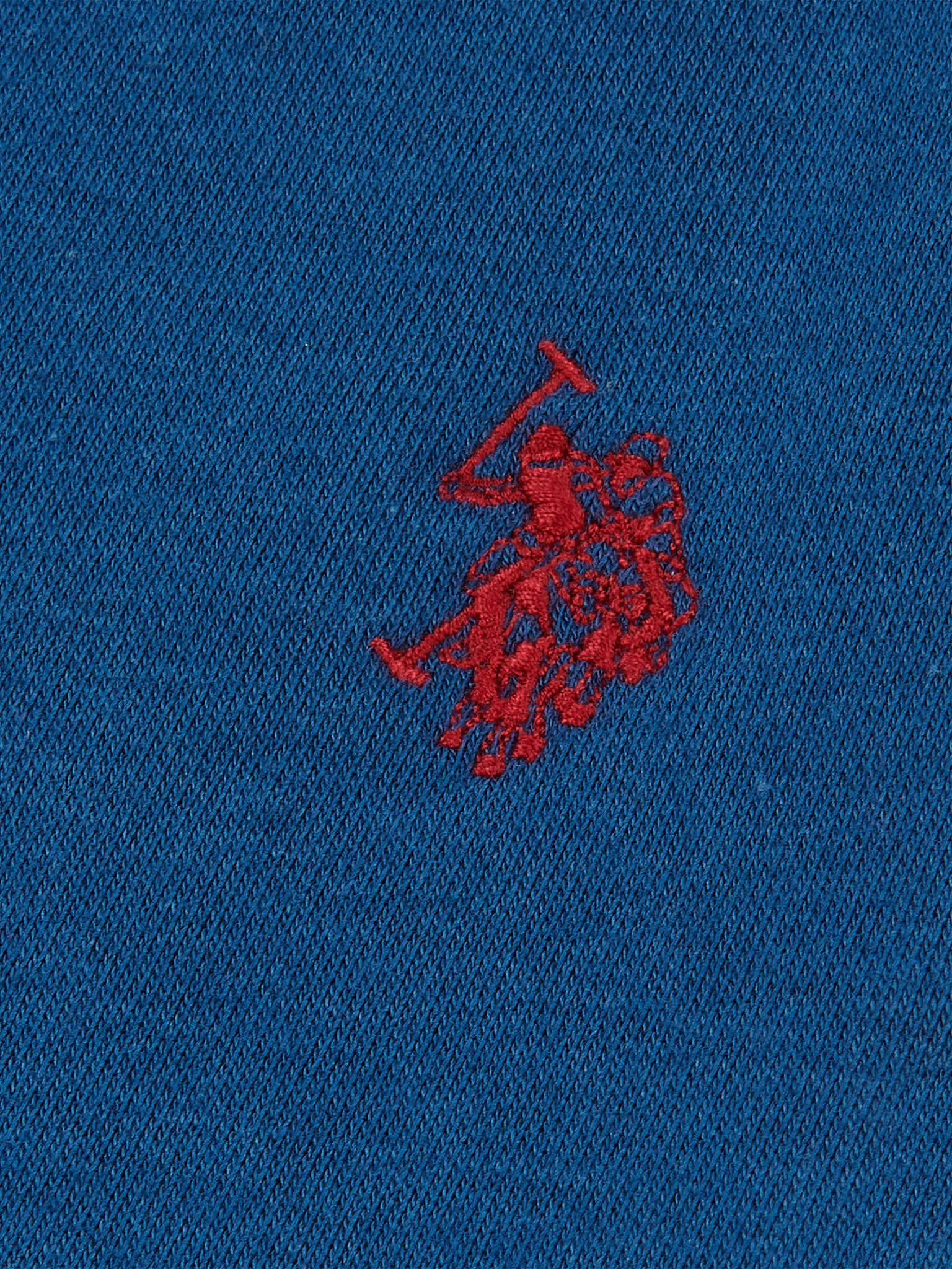 Mens Fleece Joggers in Insignia Blue